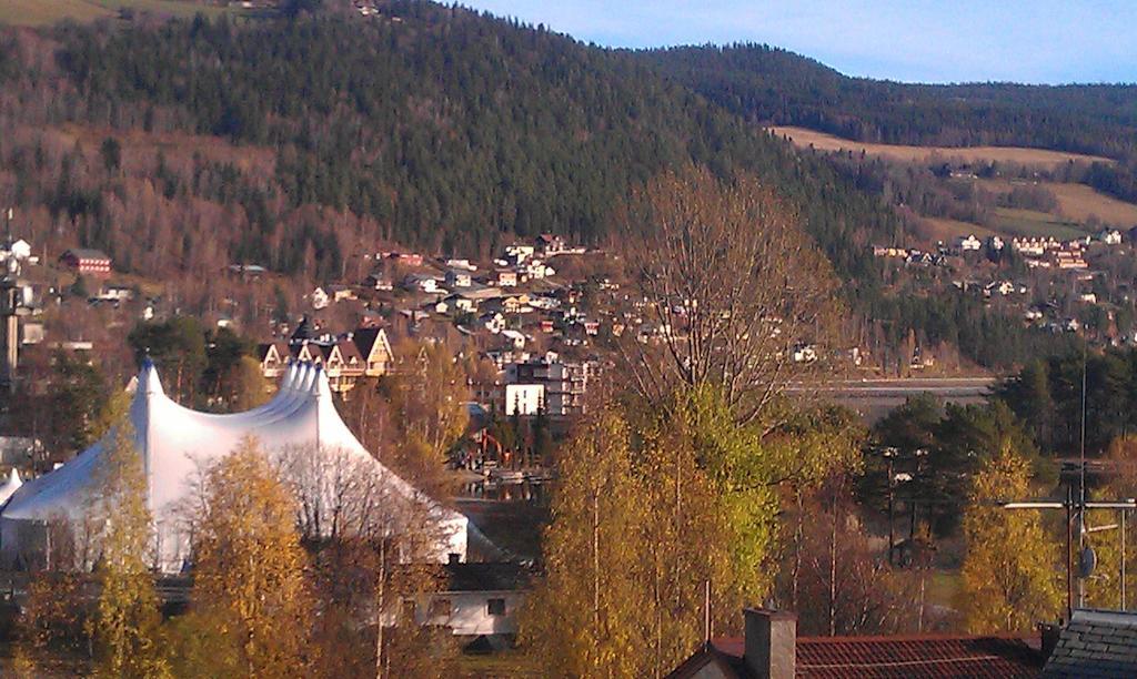 Valdres Naturlegvis Fagernes Extérieur photo